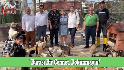 "Burası Bir Cennet, Dokunmayın!"