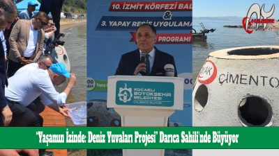 “Yaşamın İzinde: Deniz Yuvaları Projesi” Darıca Sahili’nde Büyüyor